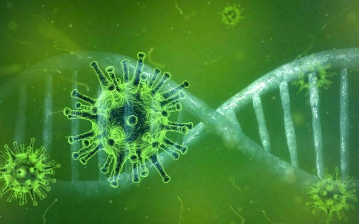 161184704415829715191582742780coronavirus 4833754 1920 161184704415829715191582742780coronavirus 4833754 1920